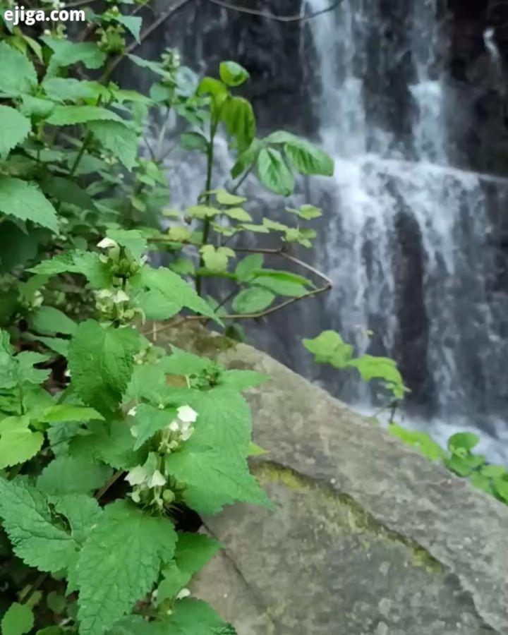 کیا اینجا رفتن..آبشار لونک..آرامش بخش..احساس زیبای خود را بیان کنید..جاتون خالی پیجو