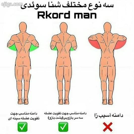 شناسوئدی یکی از بهترین حرکات برای فرم دهی سینه پشت بازو تقویت نیروی بدن است بدنسازیدرخانه بدنساز