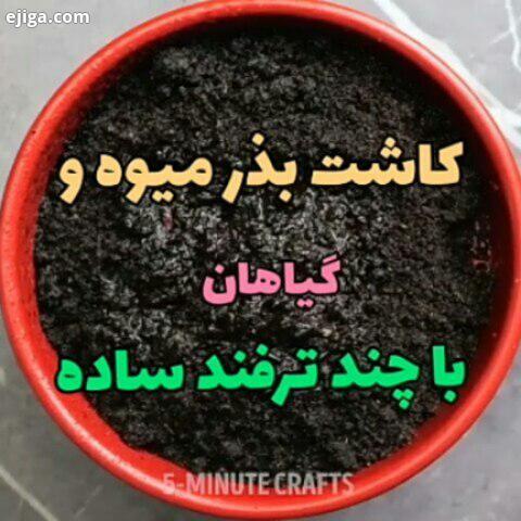 لابک هم بگذارین حتی شده یک نقطه یا استیکر ممنون Edit کاشت بذر قلمه زدن آموزش رایگا