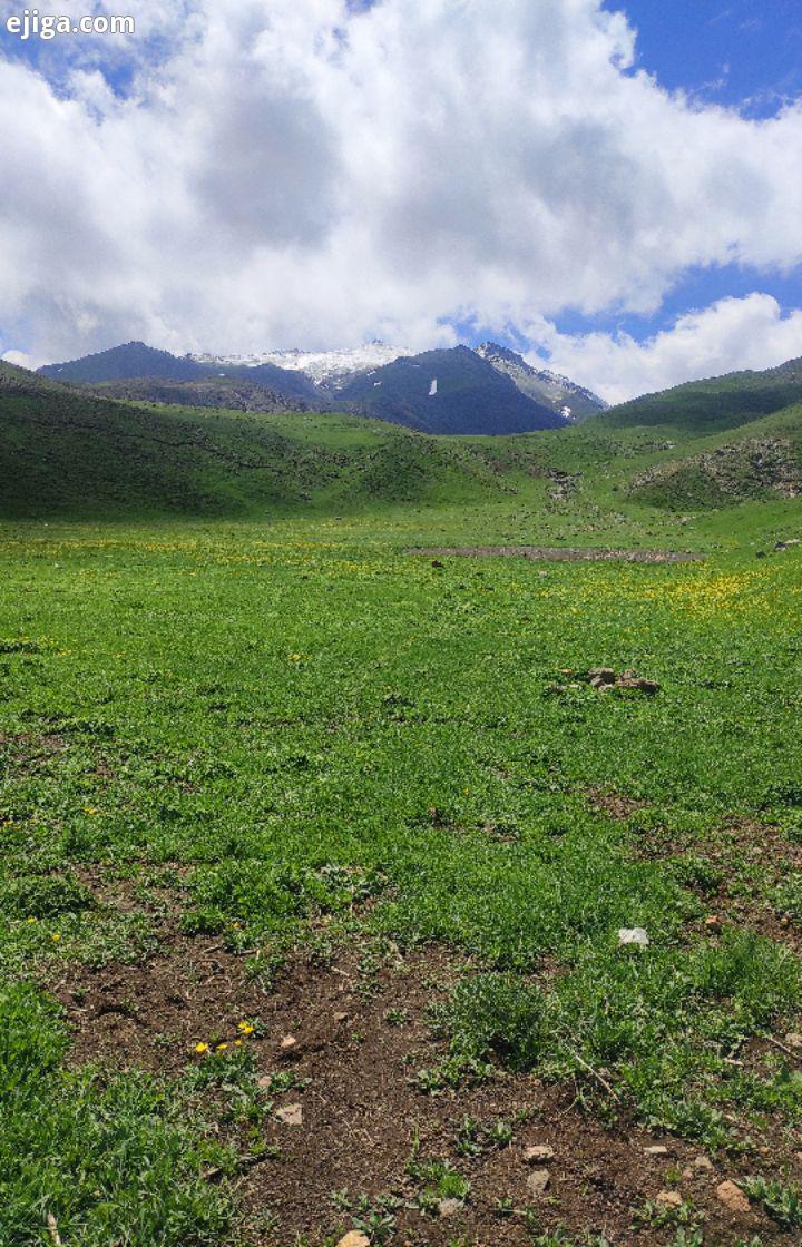 جمع کردن قارچ وحشی از دامنه سرسبز سبلان، ساوالان آذربایجان ترکی تبریز ارشق اردبیل ترکملتی دشت کوهستا