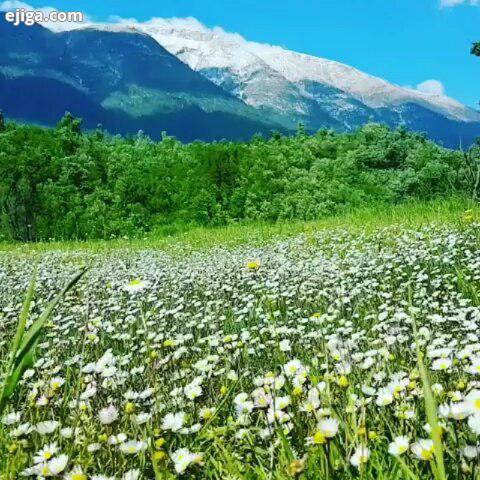 دشت بابونه، رودبار طبیعت گرد طبیعت بدون زباله طبیعت ناب طبیعت ایران طبیعت گردی طبیعتگرد جهانگردی طبی