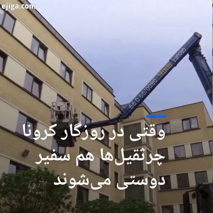 در بلژیک ایده ای به کار گرفته شده تا از جرثقیل ها برای نزدیک کردن انسان ها دید بازدید از راه دور