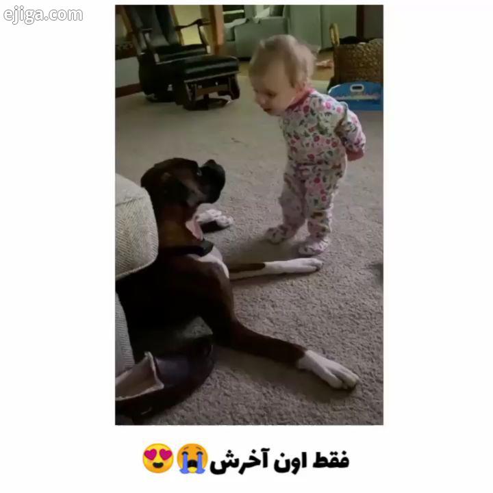 به کودکان خود مهربانی بیاموزیم...: boomertheboxeboi tik tok baby babyfever bebek babys کودک نینی