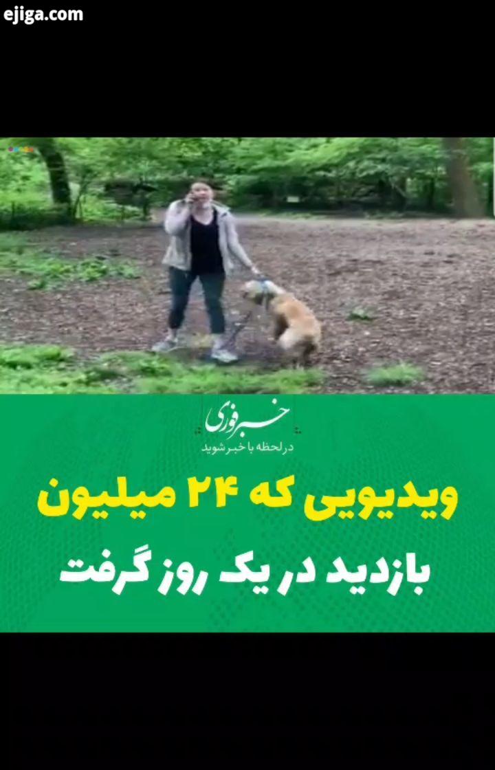 آقای سیاه پوست در پارک مرکزی شهر نیویورک از خانم می خواهد به قانون پارک احترام بگذارد قلاده سگش