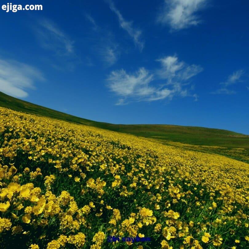 پنج شنبه 15 خرداد ماه 99 ییلاقات غرب مشگین شهر آزربایجان آذربایجان تبریز اردبیل مشگین شهر ییلاق کوه
