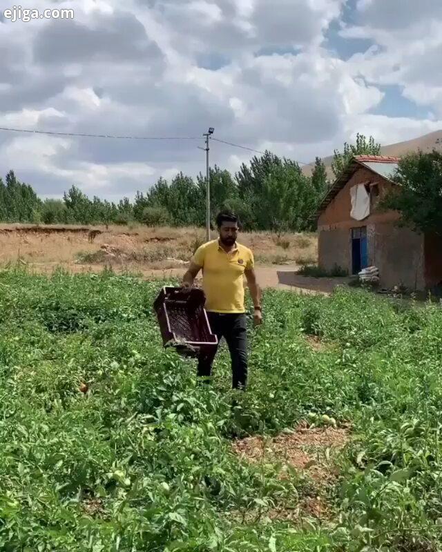 .زندگی در گذر است همچون آب رفته از جوی هرگز هیچ گاه بر نخواهد گشت دریاب نفس زندگی را ? ? زندگی