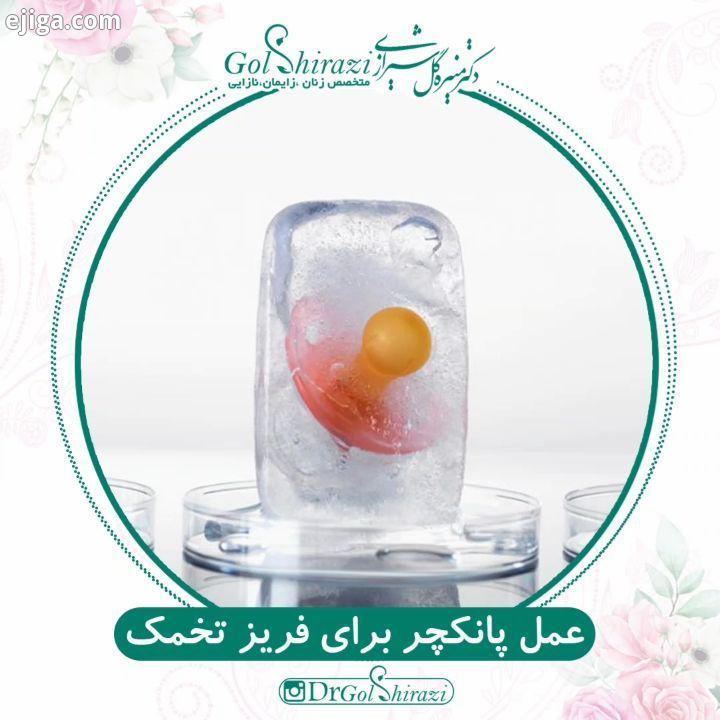 دکتر منیره گل شیرازی متخصص زنان زایمان فلوشیپ نازایی ivf عمل پانکچر استخراج تخمک جهت فریز