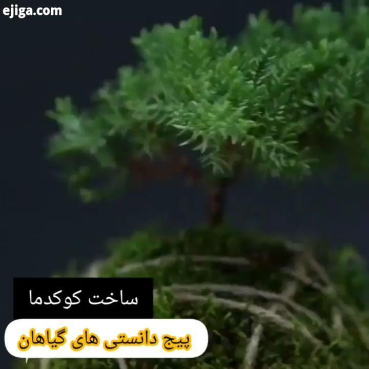 آموزش ساخت کوکدما به درخواست کلیپ اموزشی ساختن کوکدما رو براتون گذاشتم..کوکدما یک روش باغبانی