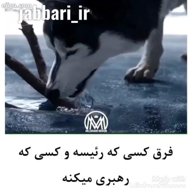 رئیس بودن رو خیلی ها دوست دارن ولی رئیس داشتن رو نه...رهبر بودن کار هر کسی نیست ولی هر موجودی رهبر