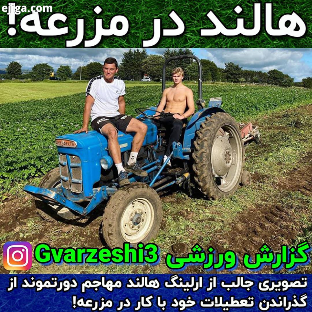.عضو شوید تصویری جالب از ارلینگ هالند مهاجم دورتموند از گذراندن تعطیلات خود با کار در مزرعه دوس