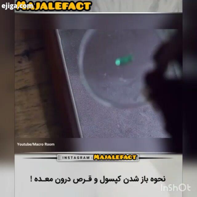 باز شدن قرص داخل معده با ما همراه باشید: majalefact فکت حقایق دانستنی دانستنیها علمی عجیب سرگرمی