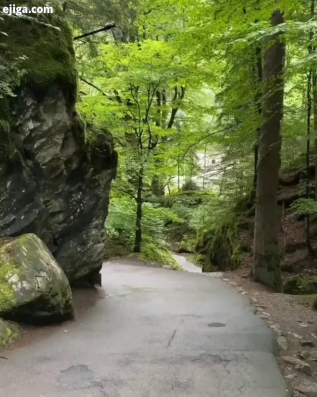 مکان دریاچه بلوسی سوییس حضورِ یک نفر در زندگیِ هرآدمی اجباریست...یکی که دردهای آدم راخوب بفهمد دلت