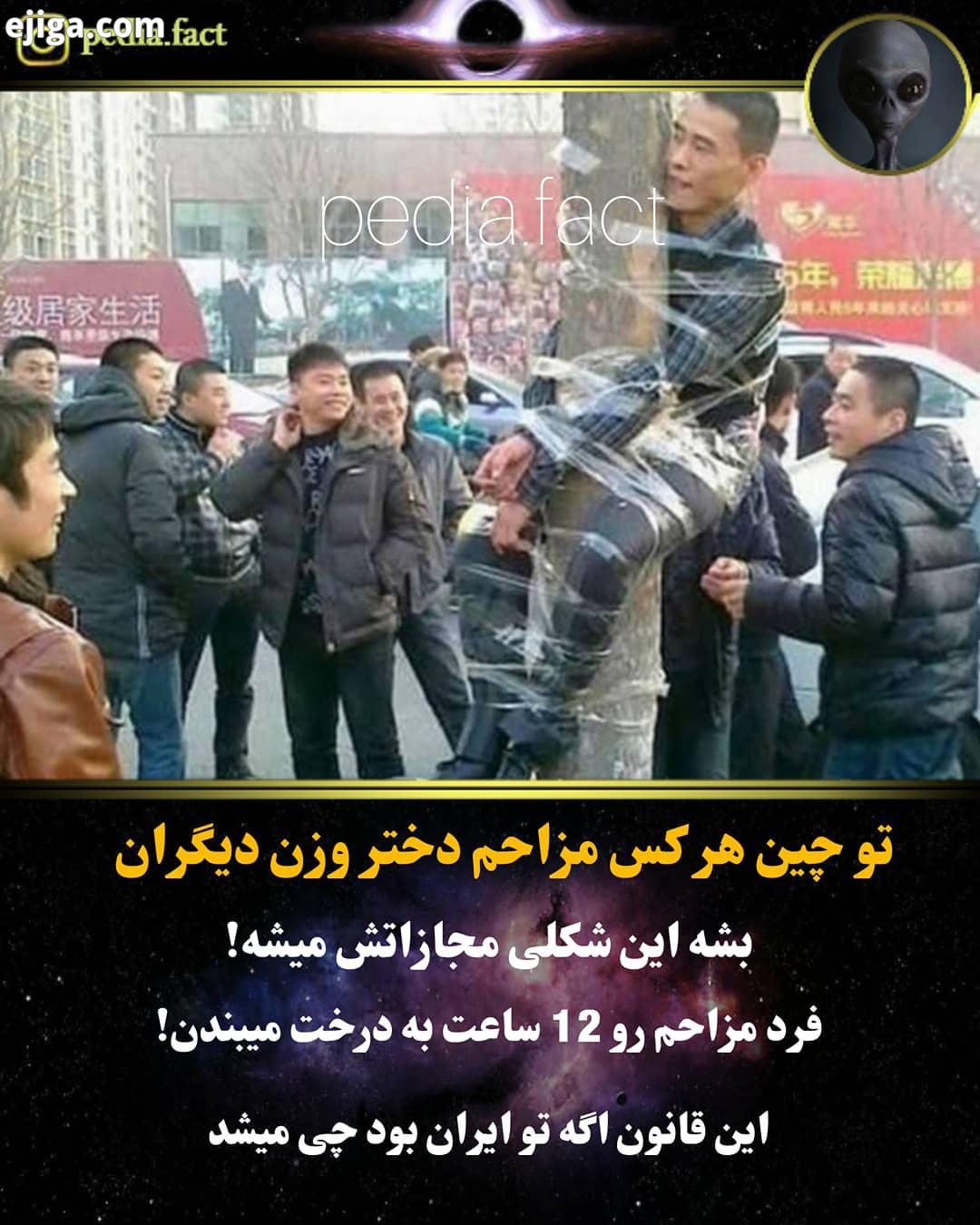 fact پست های دیگر ما را نیز مشاهده فرمایید پست رو به اشتراک بزارید دانستنی های