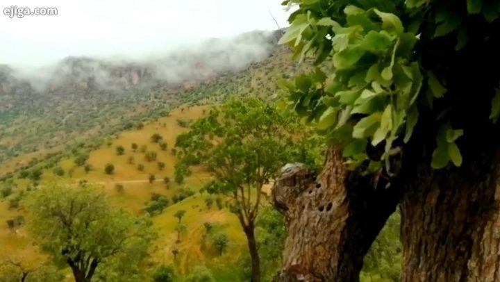 نذر کردم گر از این غم به درآیم روزی تا در میکده شادان غزل خوان بروم حافظ گردشگری ایران ایران ابشار