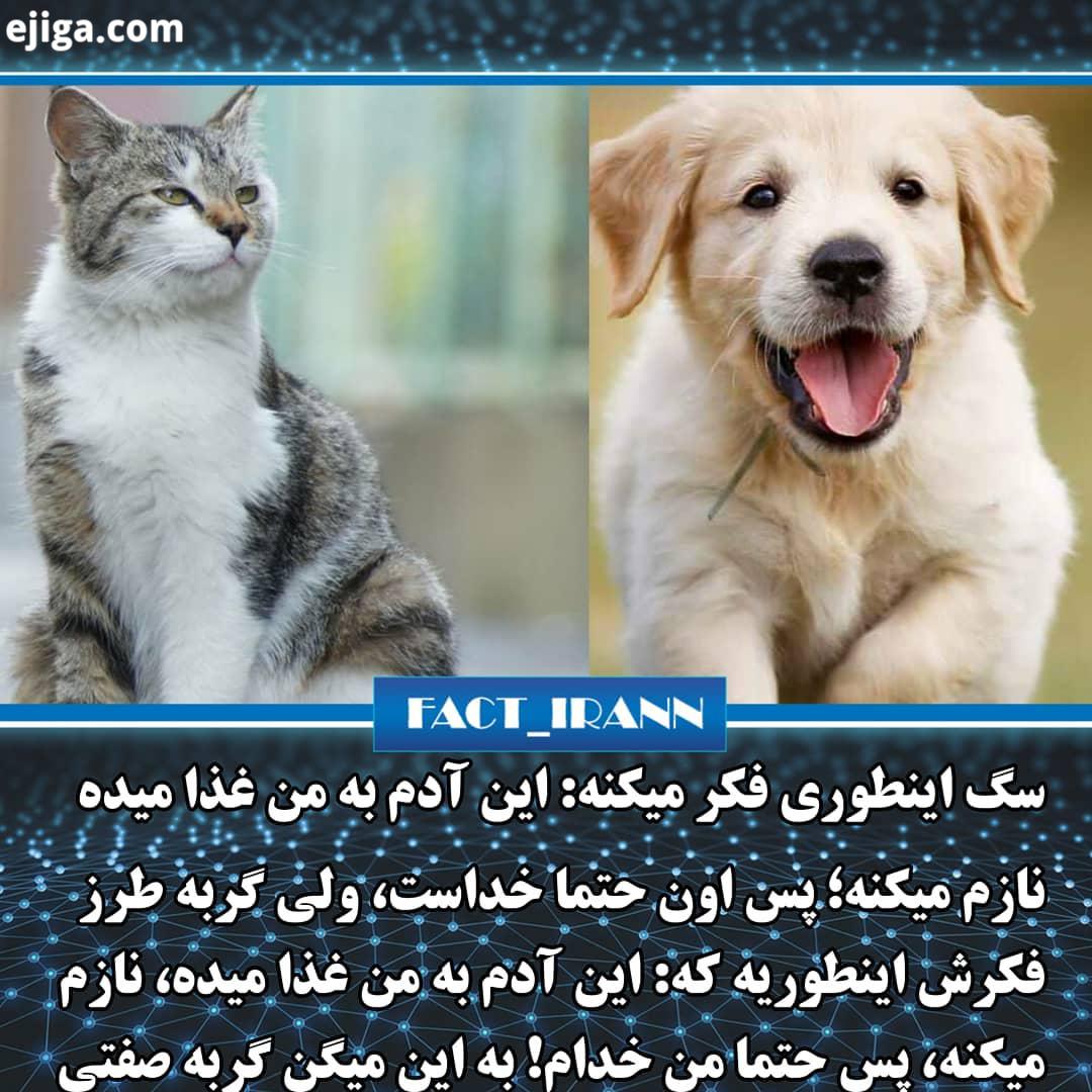 نظر شما چیه پیج مارو...فکت حقایق دانستنی دانستنیها علمی عجیب سرگرمی اطلاعات عمومی آیامیدانید بدانی