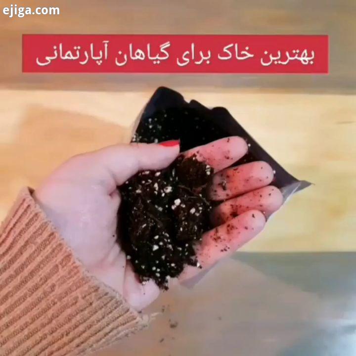 .بهترین خاک برای گیاهان آپارتمانی همین طور که می دونین یکی از مهم ترین چیزها برای رشد خوب گیاه خاک