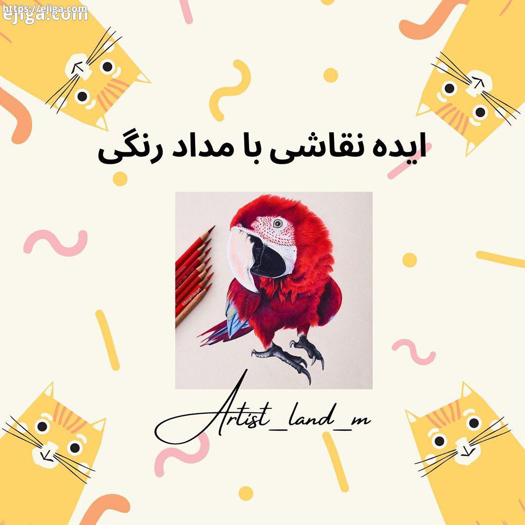 کدومو بیشتر دوست دارید...نقاشی مداد رنگی پرنده فانتزی آموزشی فانتزی هنر پریسماکالر فابرکاستل لواز