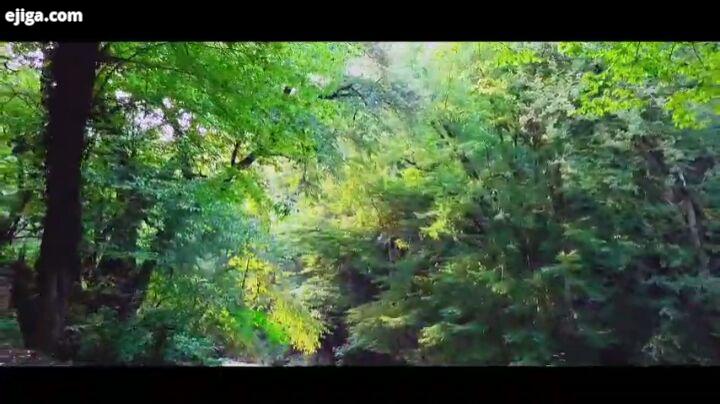 .تصویری زیبا از جنگل های هیرکانی ۴۰ میلیون ساله سوادکوه، مازندران که ثبت جهانی هم شده ما رو با هشتگ