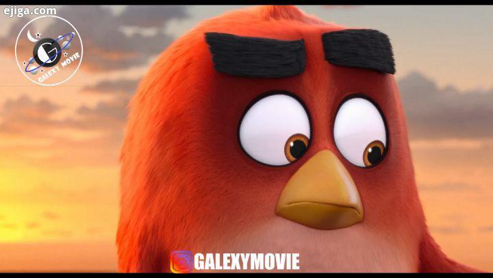 انیمیشن زیبای پرندگان خشمگین از گمپانی کلمبیا پیکچرز سال انتشار 2019 توضیع کننده کلمبیا پیکچرز کلی