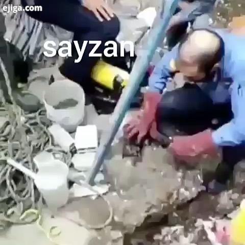 نجات احیاء توله گربه سقوط کرده در عمق چاه توسط آتش نشانان همدانی firefighter fireman Iran hamedan