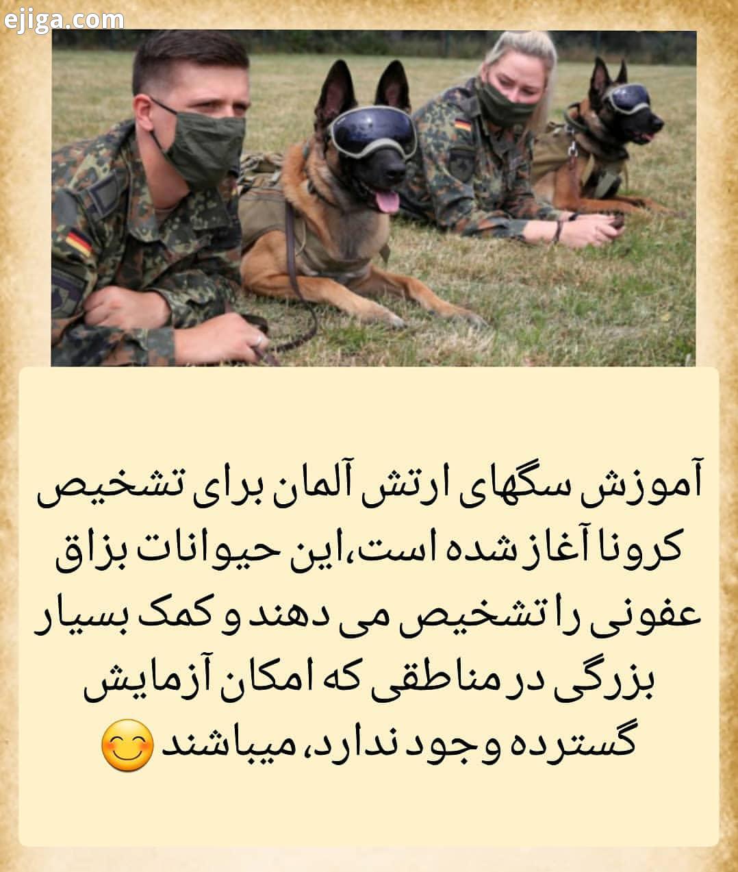 حافظ یاران همنشین همه از هم جدا شدند مائیم آستانه دولت پناه تو...دانستنیها آیامیدانید مطالب آموزند