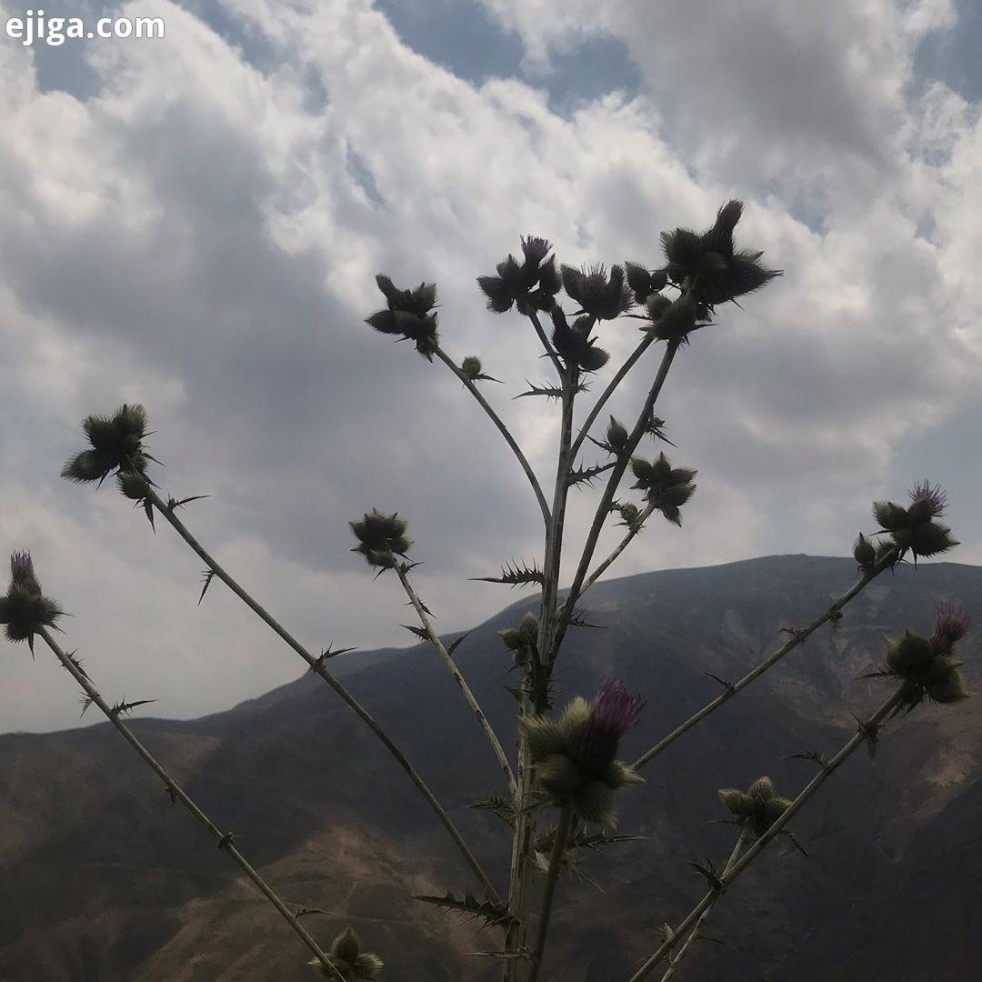 روزی روزگاری زیر سقف سمان بی ، در فضای بیکران هستی ، جای که ابر ها خیال رویا میرقصیدند