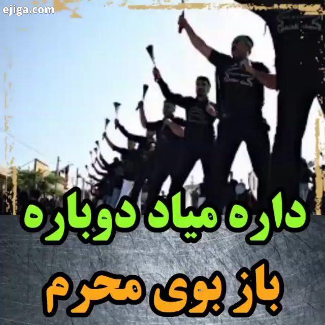 میزنه قلبم داره میاد دوباره باز بوی محرم امامزمان امام زمان امام عصر امام حاظر امام حضرت مهدی عج حضر