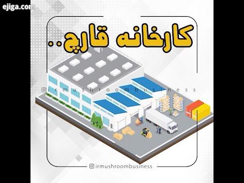 تصاویر سه بعدی از یک کارخانه قارچ با تجهیزات مدرن مزرعه قارچ تولیدوپرورش قارچ خوراکی تولیدصنعتی قارچ