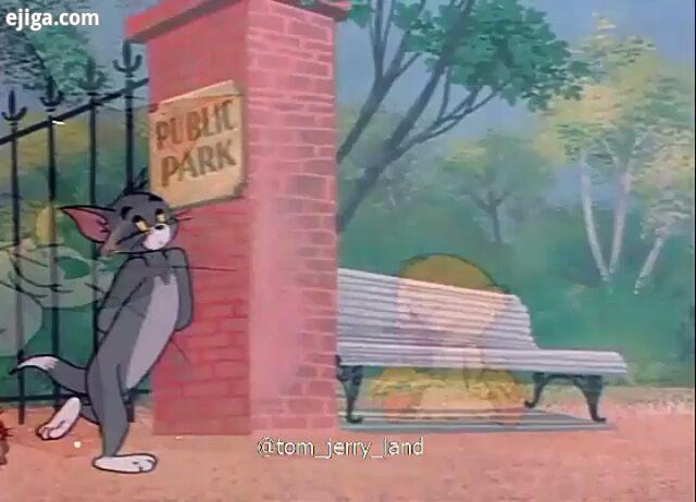 بخش هایی از قسمت ۱۱۰ tomandjerry tom tom jerry jerry cartoon tom and jerry cartoonland Tomas animati