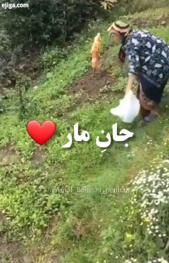 .این کلیپ با صدای بانوی مازندرانی تقدیم به همه مادران زحمتکش مازندرانی روح مادران آسمانی شاد.?...جان