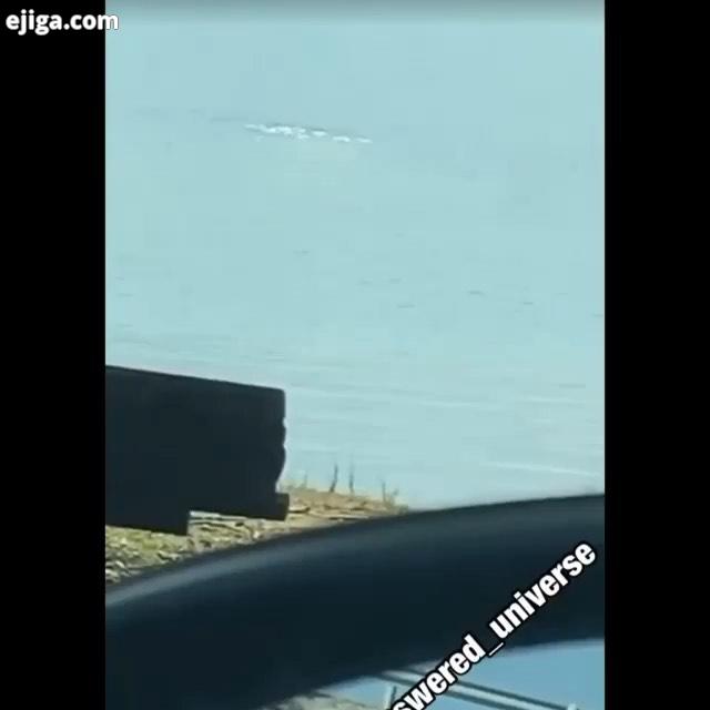 کاربری که این ویدیو مدعی شده تصاویری از پری دریایی گرفته صحت فیلم تایید نشده ازپست های قبلی