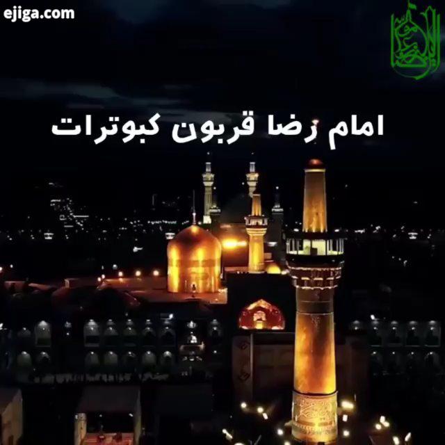 امام رضا قربون کبوترات یه نگاهی هم بکن لبیک یا خامنه ای هرخانه یک حسینیه آخرالزمان اللهم عجل لولیک