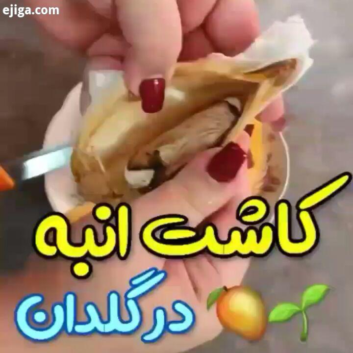 .چطوولین اینم کلیپ کاشت هسته انبه وگرنه دستتون