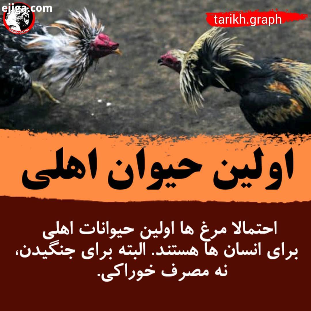 بفرستید برا دوستاتون مجله تاریخ گراف پیجی پر از داستان های تاریخی، حقایق، عجایب جهان، حک