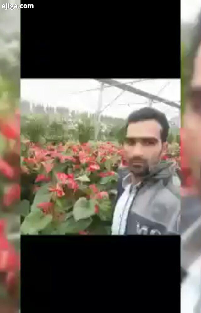 کربلایی سیروس محرم آمد کربلایی نیستی...زنده یاد روحش شاد یادش گرامی میرن آدما برای شادی روح همه رف