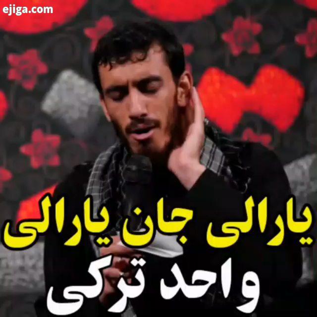 یارالی حسین یارالی جان یارالی محرم حسین حاج مهدی رسولی واحد ترکی
