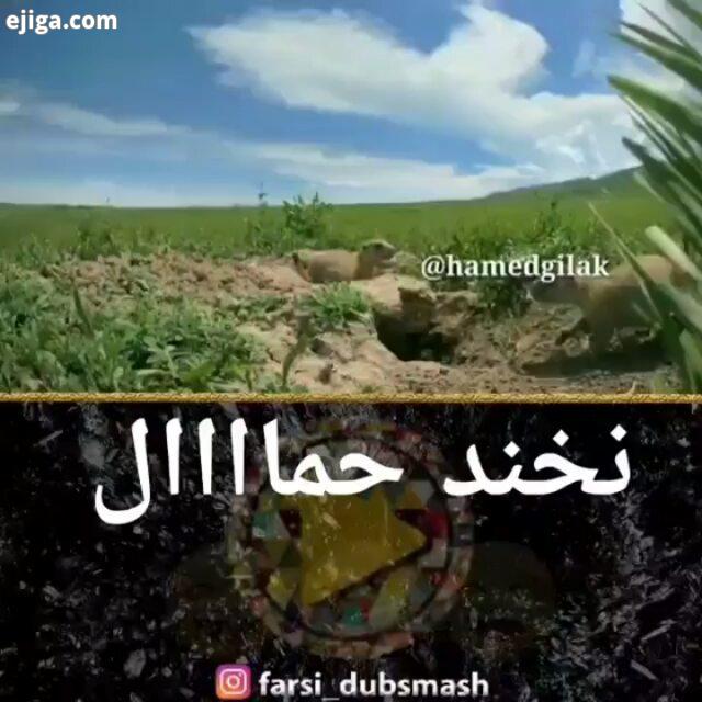 خنده خنده دارترین کلیپ ها خنده رو خندهدارترینها خنده درمانی خندوانه خنداننده شو خنده دار خنده شادی