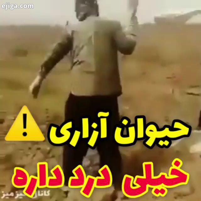 میگم که...این حیوونای زبون بسته خداشون کجاست...خدایا خدایا شکرت که هستی برایمان خدایی میکنی انسا