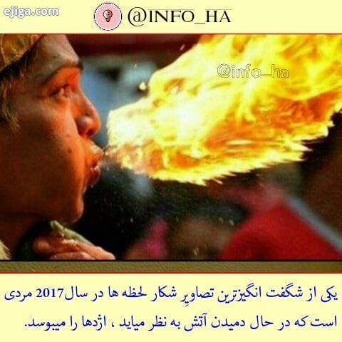 برای مشاهده پست های بیشتر عکس اژدها اتش...جالب دانستنی دانستنیها چه جالب اطلاعات عمومی ایران