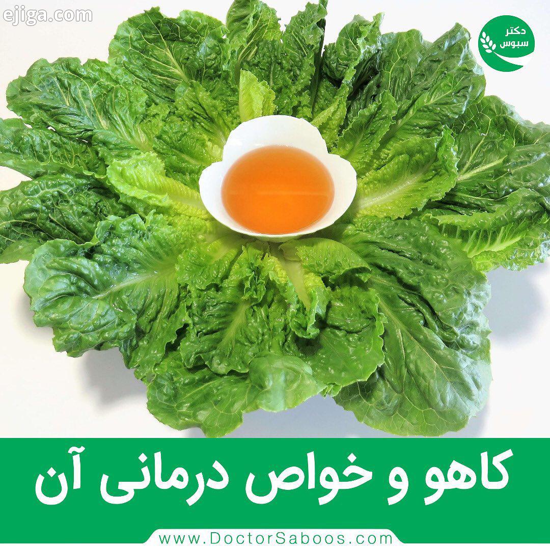 .برگ های بیرونی کاهو ارزش خوراکی بسیار دارد زیرا این برگ ها بیشتر در معرض نور آفتاب قرار دارد نسب