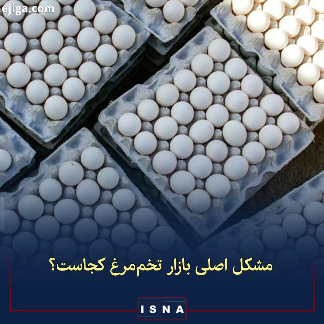 .علت بی ثباتی در بازار تخم مرغ چیست مهدی معصومی اصفهانی، فعال صنعت مرغ تخم مرغ عضو اتاق بازرگان