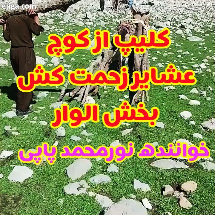 اری وو کار خو هیچ نکردمه ای خدا دونه خواننده نورمحمد پاپی پسر بختیاریها عروسی ایرانی لرها لری بختیار