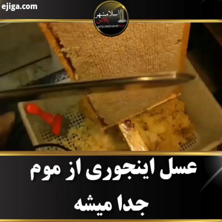 عسل اینجوری از موم جدا میشه عسل عسل طبیعی عسل درمانی باحال کدبانو کدبانوگری کدبانوها آشپزی جالب سرگر