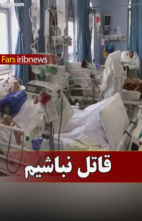 .مرگ ۴۴۴ نفر در شیراز بر اثر ابتلا به کرونا https: www iribnews ir 00Bsmc معاون بهداشت دانشگاه علوم