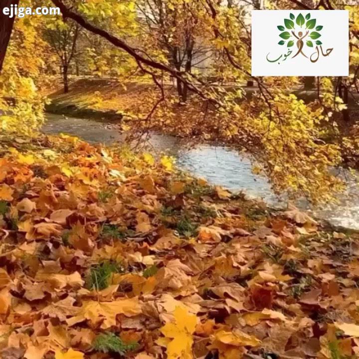 .با ارزش باش..با ارزش زندگی کن..برای خودت خط هایی داشته باش روی بعضی چیزها زیر بعضی چیزها دور بعض