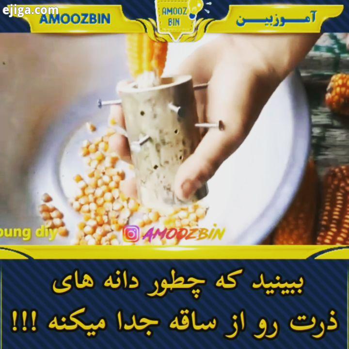 ببینید که چطور باید دانه های ذرت رو از ساقه جدا کنید ? ? ? ذرت بلال بامبو پیچ میخ دریل دانه جدا شدن