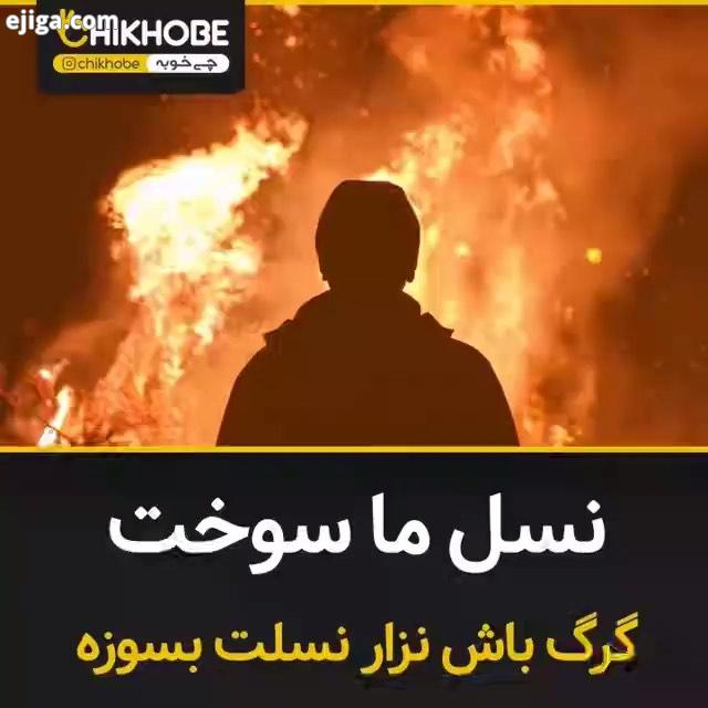 امید وارم اونایی که حق مردمو میخورن خدا جرشون بده ،مال مارو دایناسور بخوره بالا میاره من موندم چجوری