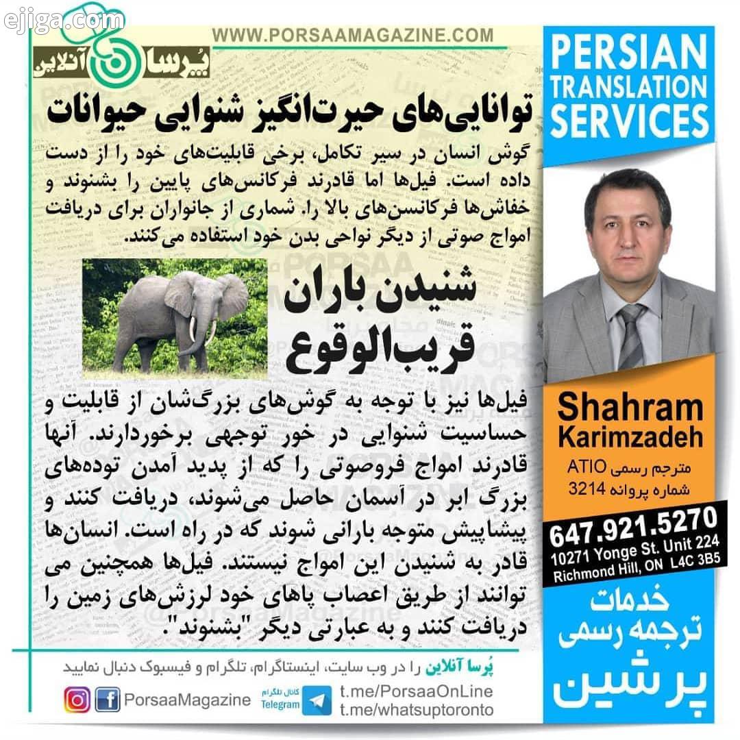 رسا شما را به رسش، مطالعه آگاهی دعوت میکند با ما باشید کانال تلگرام تورنتو چه خبر، صفحه اینس