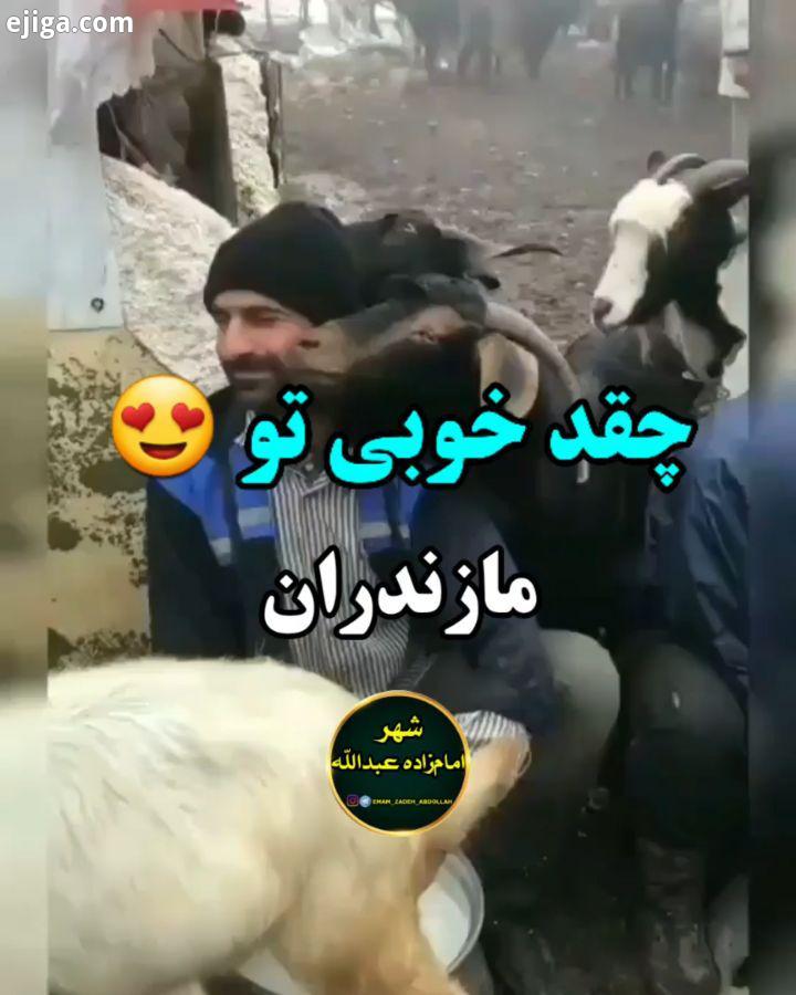 .برخلاف بعضی از انسان ها حیوون رو اگر بهش خدمت کنی بهت خدمت می کنه الان نگاه کنید این بز با زبون بی