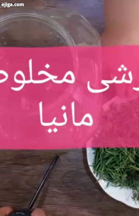 ...بسمه تعالی ترشی مخلوط مانیا: کرفس هویج گل کلم فلفل سبز تند ادویه ترشی عطاریا دارن زرد چوبه سیر